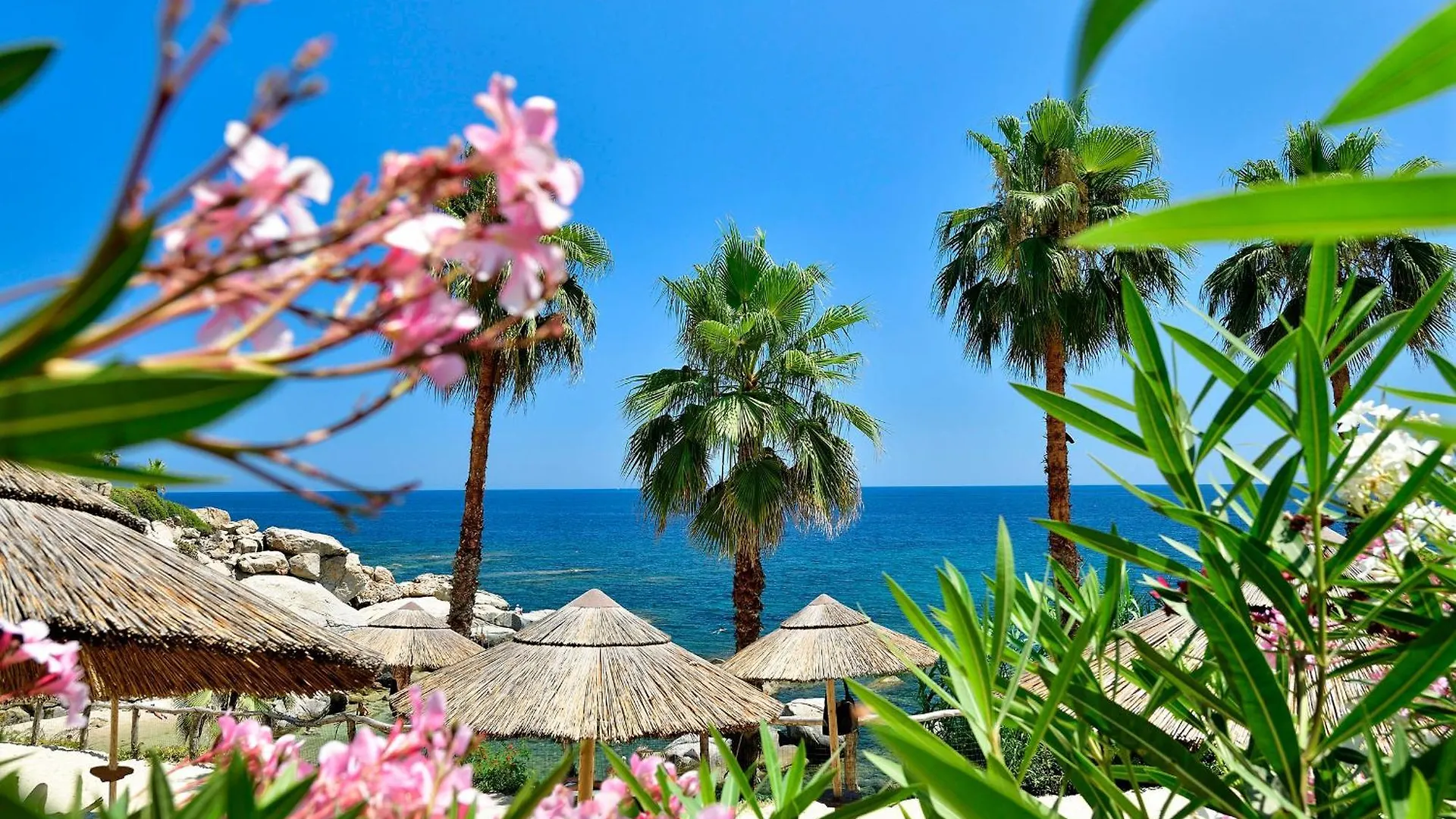 Arbatax Park Resort - Telis