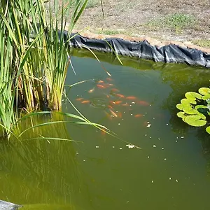 La Barca In Secca Gospodarstwo wiejskie